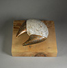 Artifact, 2022, 7" x 11" x1 2", bronze and steel, unique