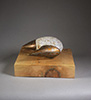 Artifact, 2022, 7" x 11" x1 2", bronze and steel, unique