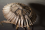Dino I, 2016, 10x10x18", bronze, unique