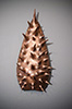 Milkweed Seed Pod, 2016, 15x7x4", bronze