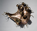 Lichen II, 2010, 28x19x10", 2010, bronze, unique-detail