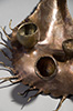 Lichen II, 2010, 28x19x10", 2010, bronze, unique-detail