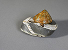 Limpet on Rock, 2022, bronze and stone, unique