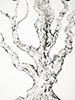 Sequester II, 2016, 24x32”, monotype, carbon on paper