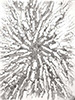 Petro Vortex VI, 2016, 18x24”, monotype, carbon on paper