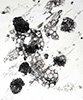 Arrival, 2016, 14x17”, monotype, carbon on paper