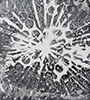 Carbon Print, monotype, carbon on cedar