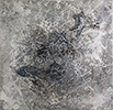 Carbon Print, monotype, carbon on cedar