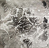 Carbon Print, monotype, carbon on cedar‹