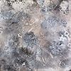 Carbon Print, monotype, carbon on cedar