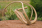 Ibex, 2005, 75x52x50”, stainless steel,	Ed. of 7